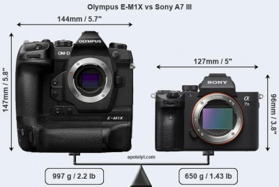 olympus-e-m1x-vs-sony-a7-iii-front-a.jpg