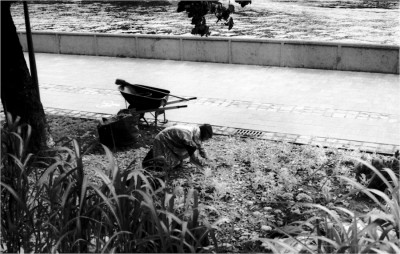 img224.JPG