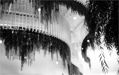 img210.JPG