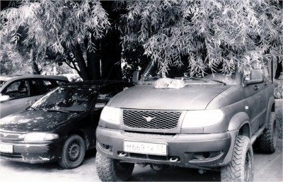 img208.JPG