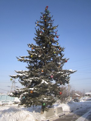 У Автодора.jpg