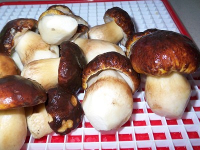 File916 - копия.JPG