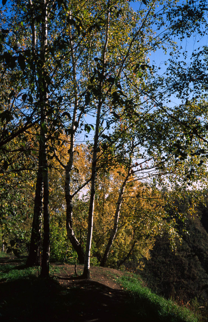 5162686750_cc7400d9cc_b