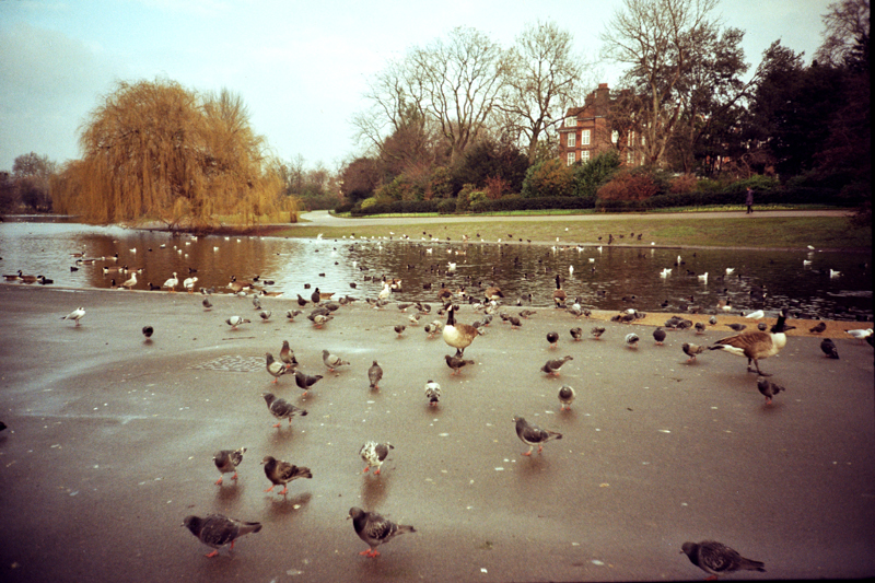 0A_00003_copy