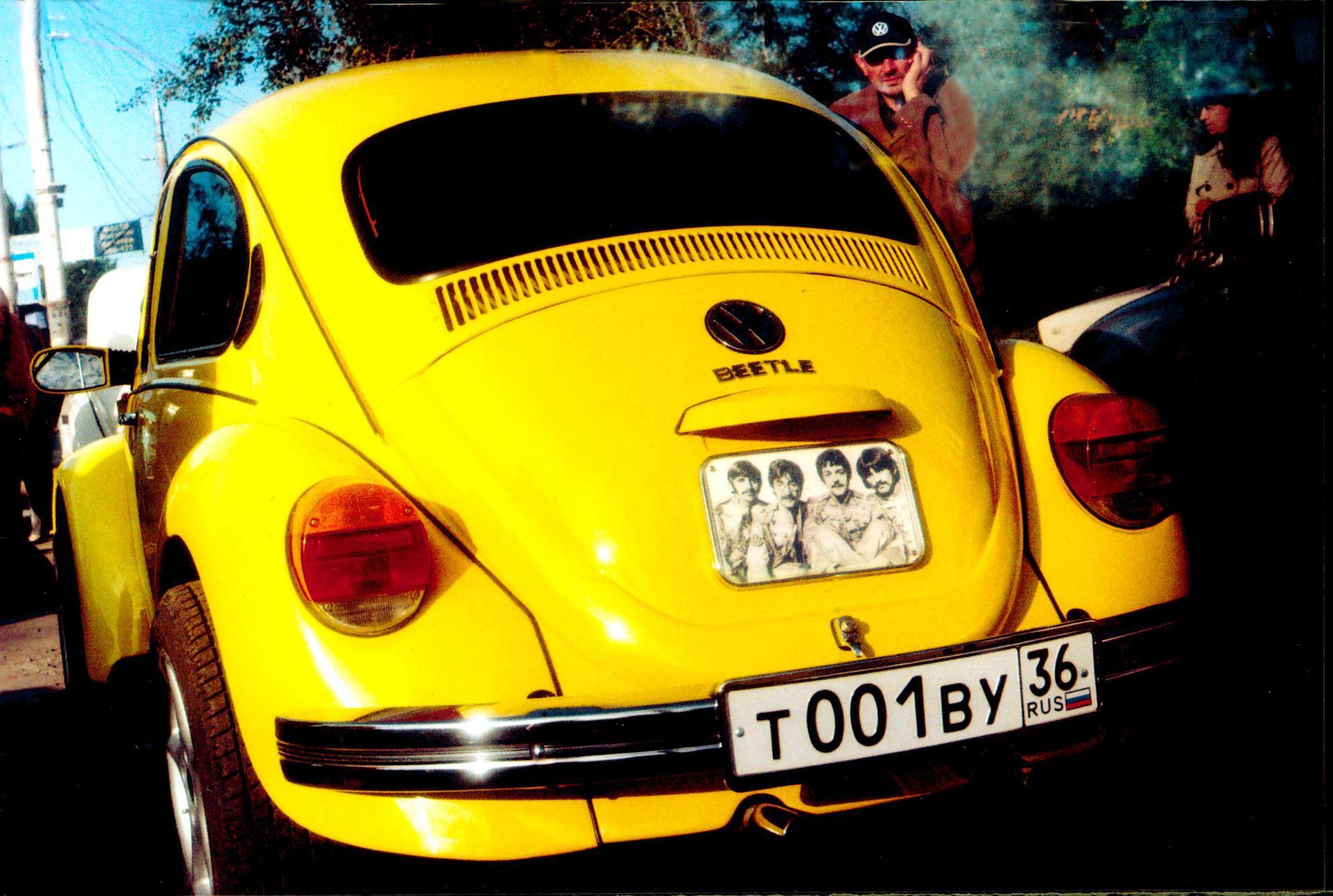 a_beetle