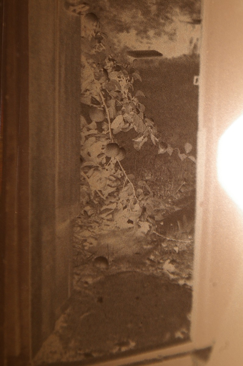 IMGP6736