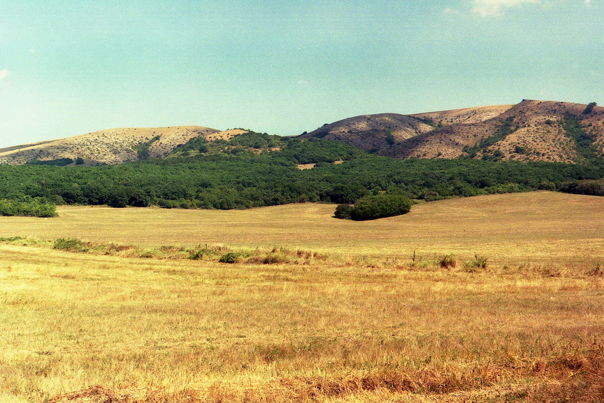 img001-1