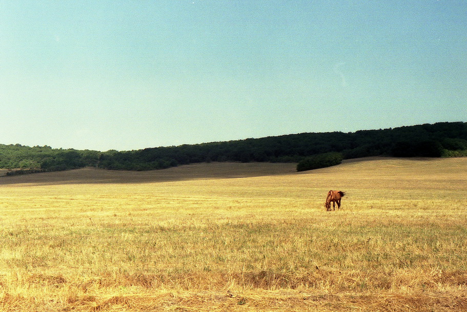 img007-11