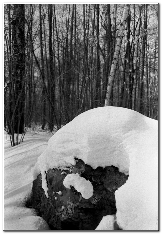 Scan-120309-0005