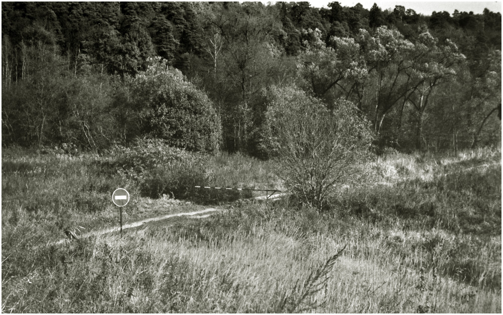 L1027931