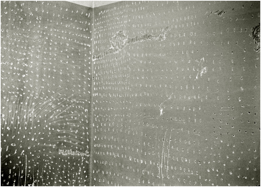 L1031991