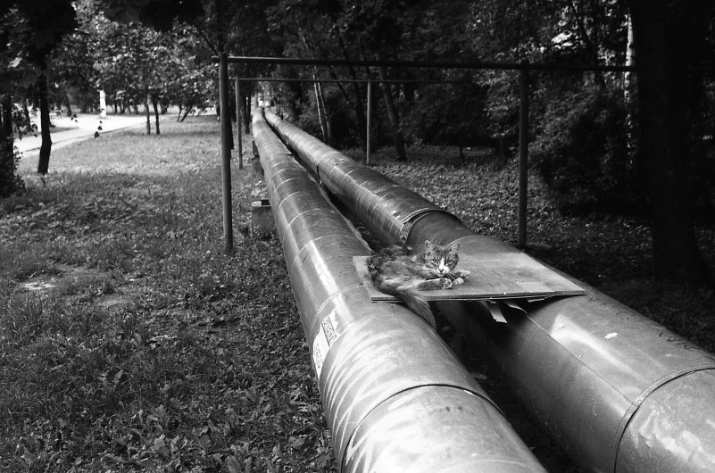 Rollei35T_20120615_016