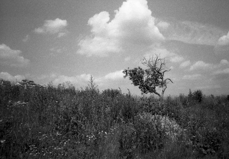 XA_20120623006