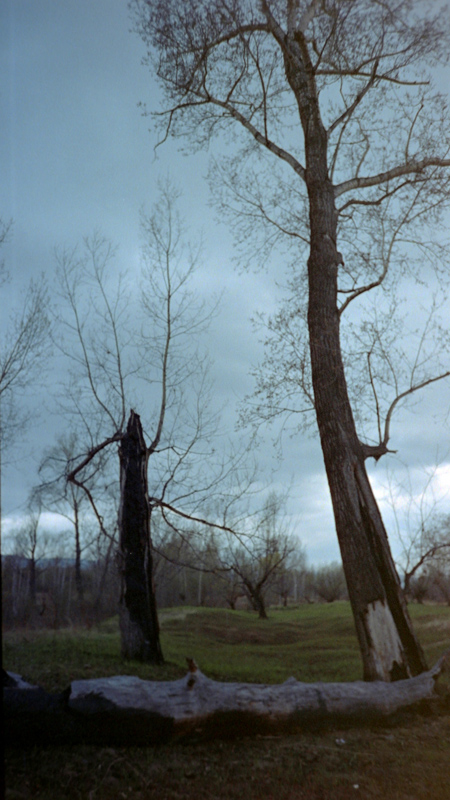 spring