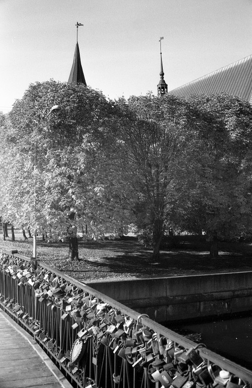 25-Foma_100019