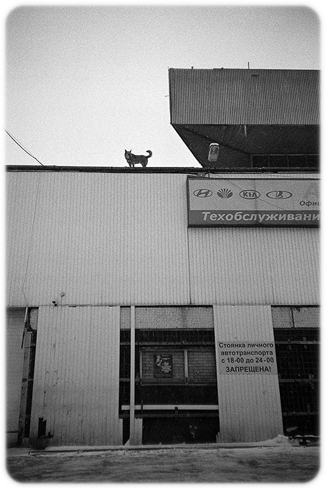 Scan-150218-0002