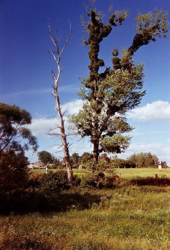 r001-026-1