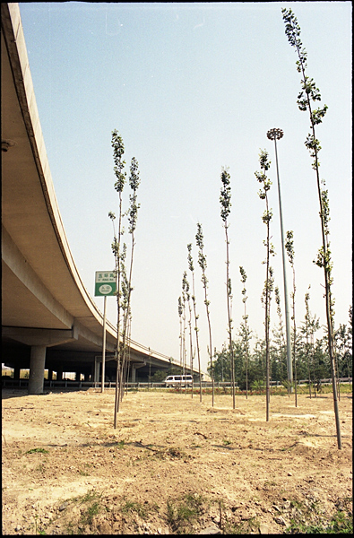 china009