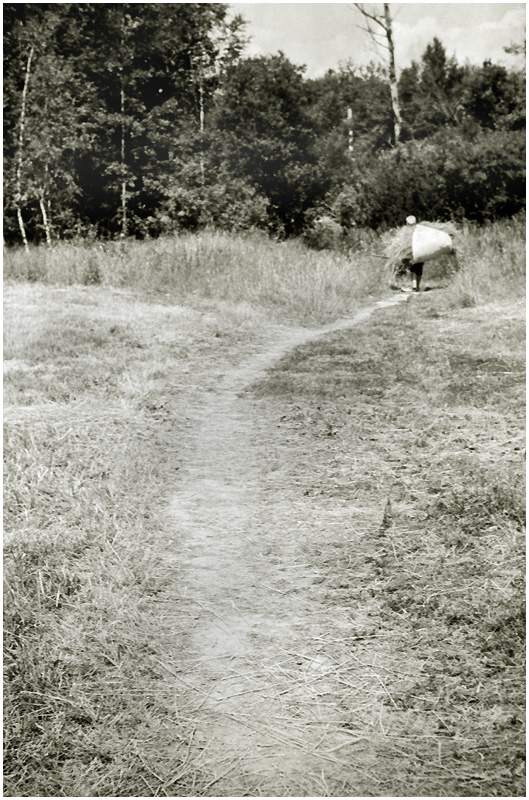 L1031026a