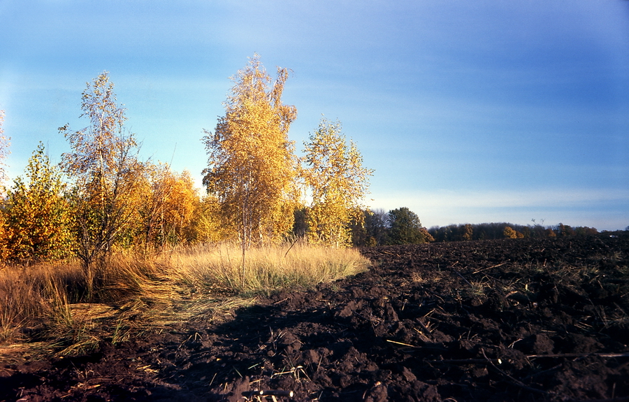 Kodak_Ektachrome_100_3_12_211