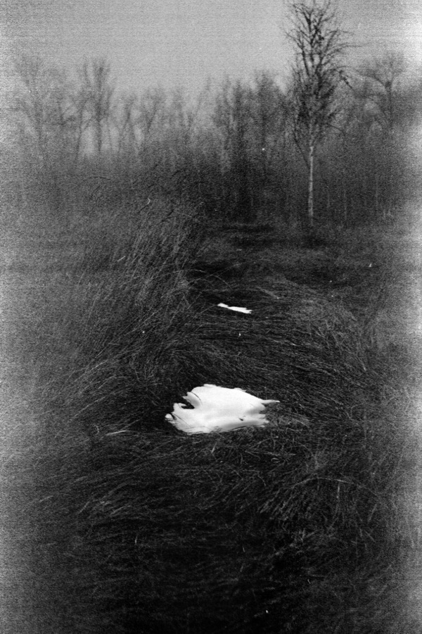 Scan-151222-0003_