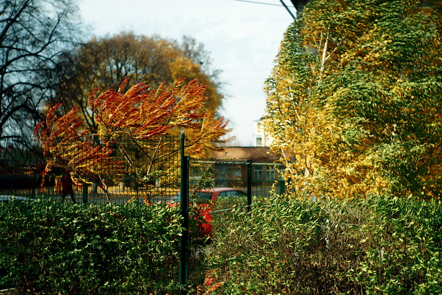 r001-0033