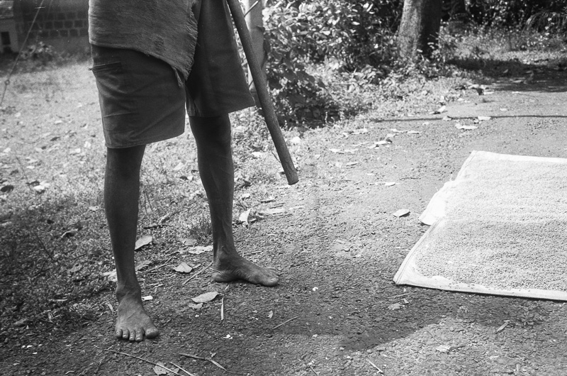 india_hb2_7