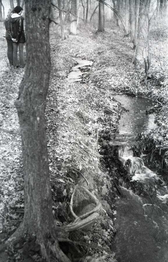 img2592.jpg