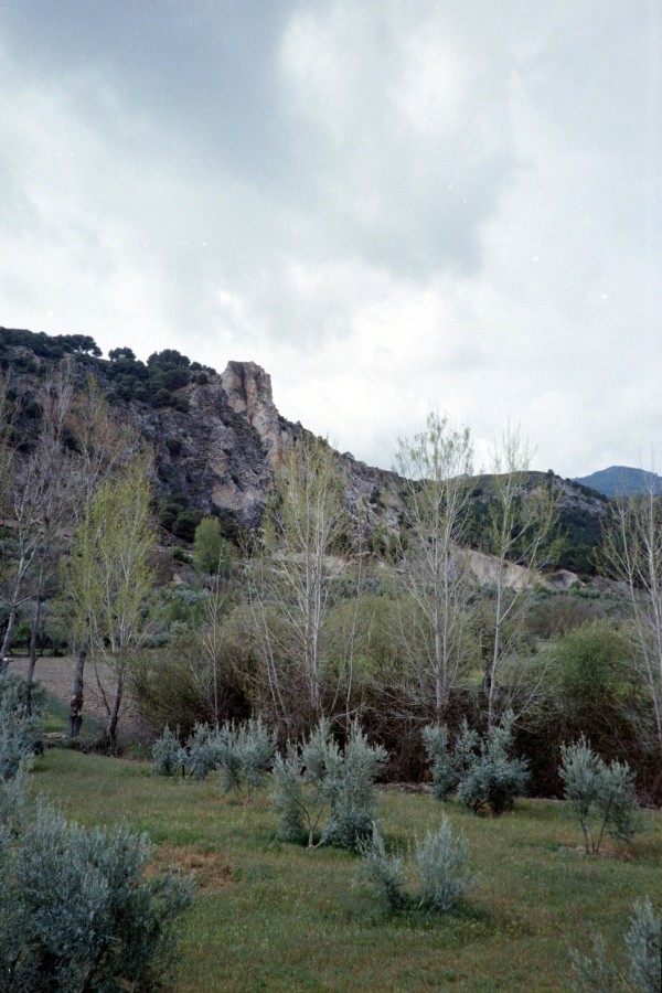 pic0081