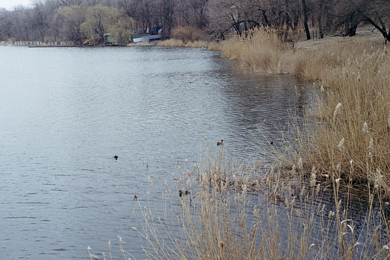 Negative0-23-19A_1_1