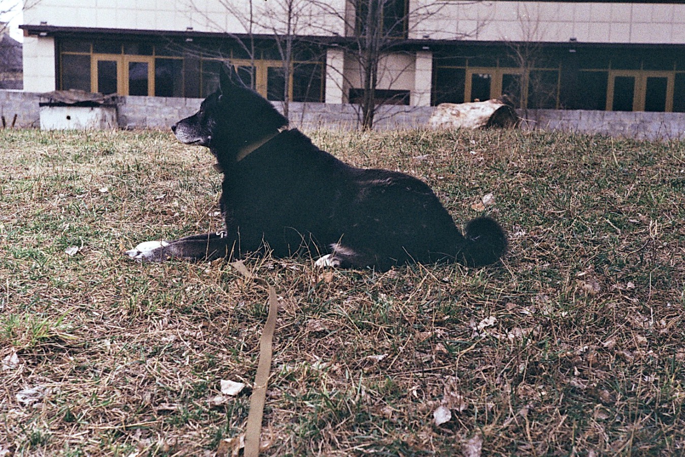 Negative0-38-34A_1_