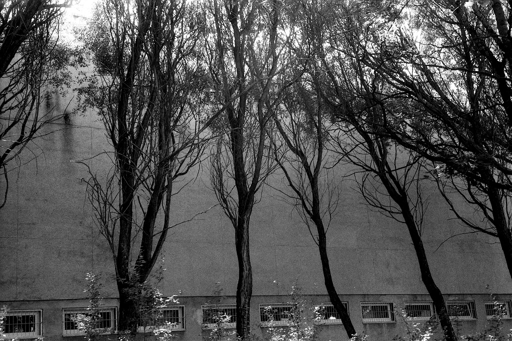 4_8Rollei400950_