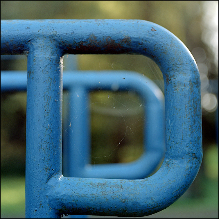 2508_C3-80_Gold200_015_web