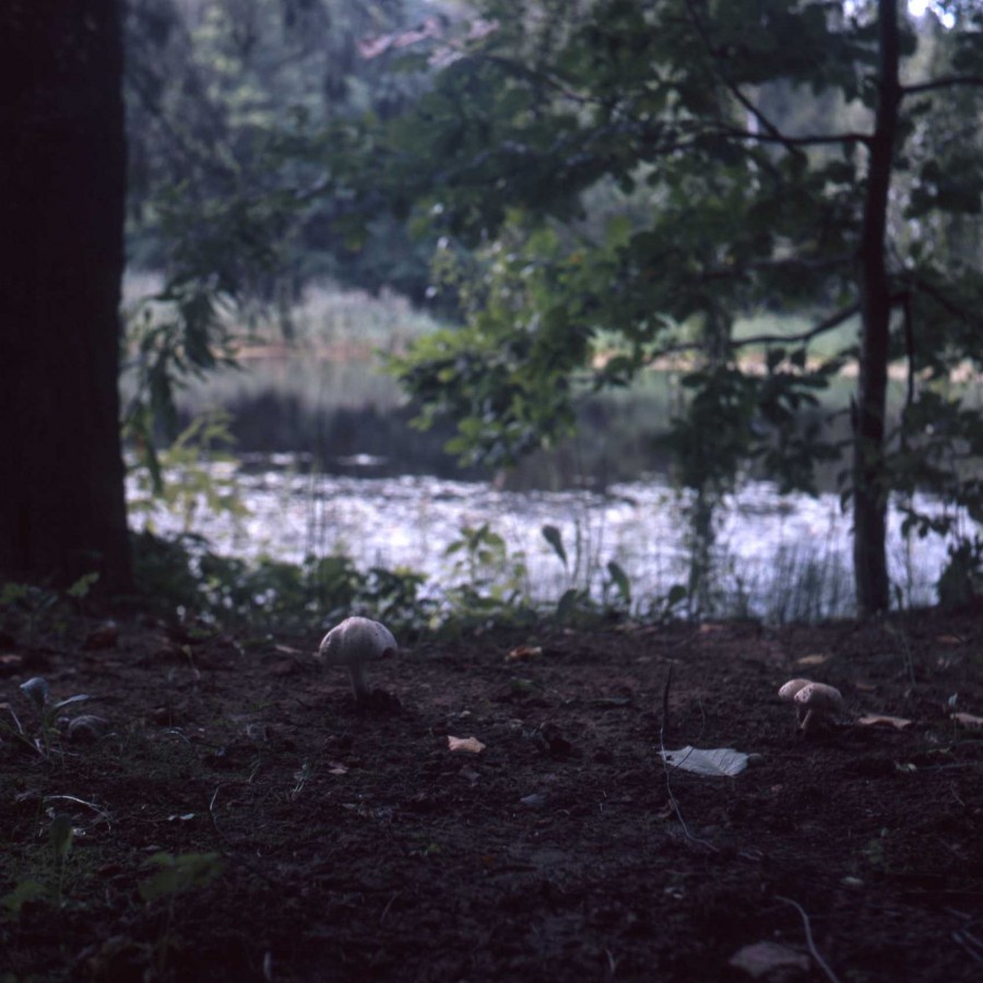 ROLLOP-Provia-20210825-010