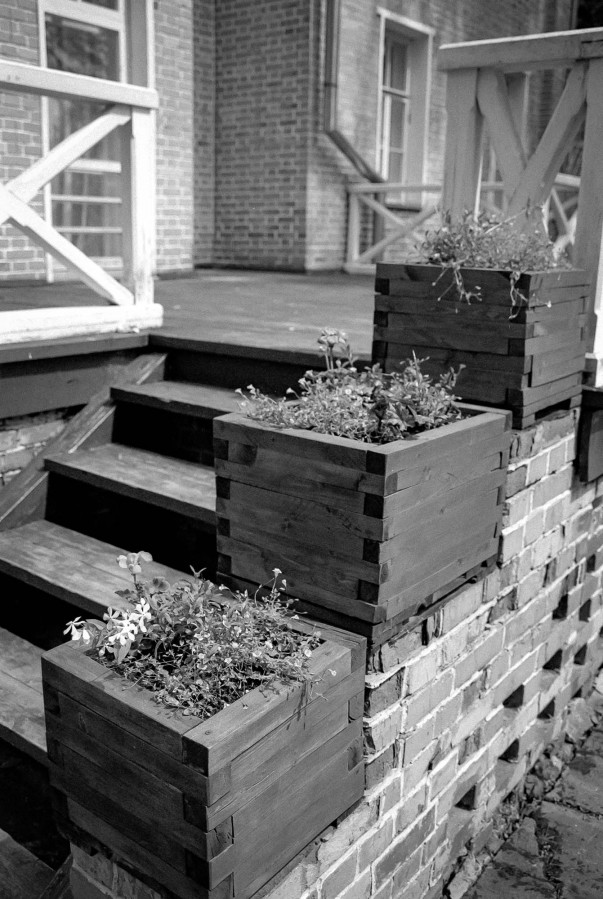 NIKON_F80_AF_NIKKOR_28-105_RDN-LQ_1x50_16_min_June_2022_241