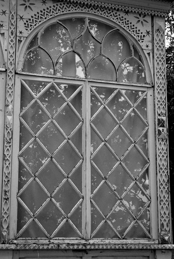 NIKON_F80_AF_NIKKOR_28-105_RDN-LQ_1x50_16_min_June_2022_261