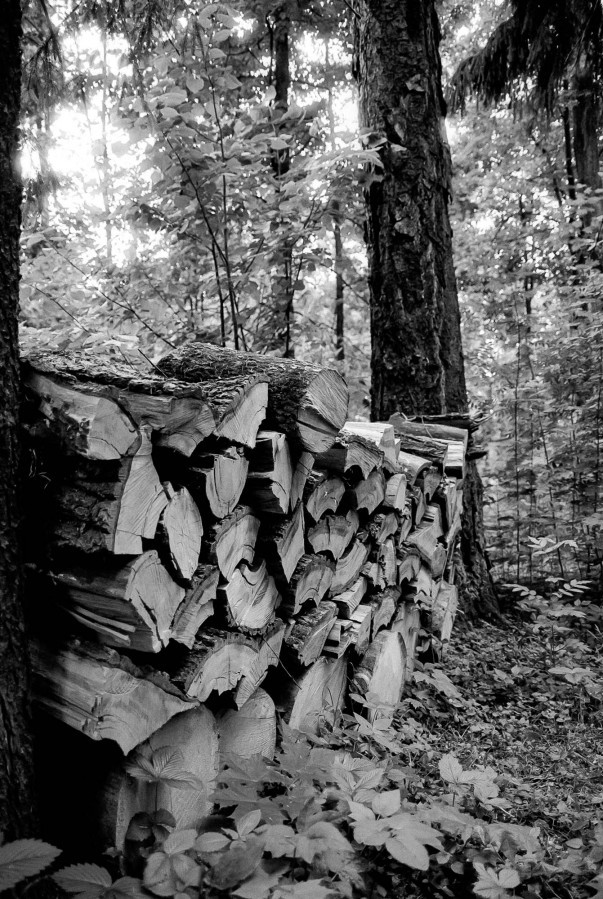 NIKON_F80_AF_NIKKOR_28-105_RDN-LQ_1x50_21_min_30_sec_June_2022_171