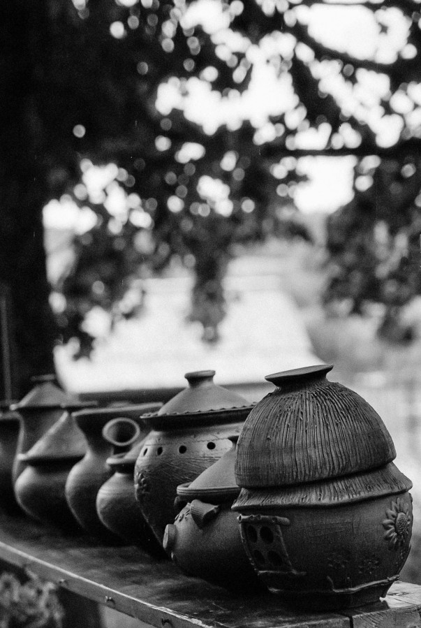 NIKON_F80_AF_NIKKOR_28-105_RDN-LQ_1x50_21_min_30_sec_June_2022_231