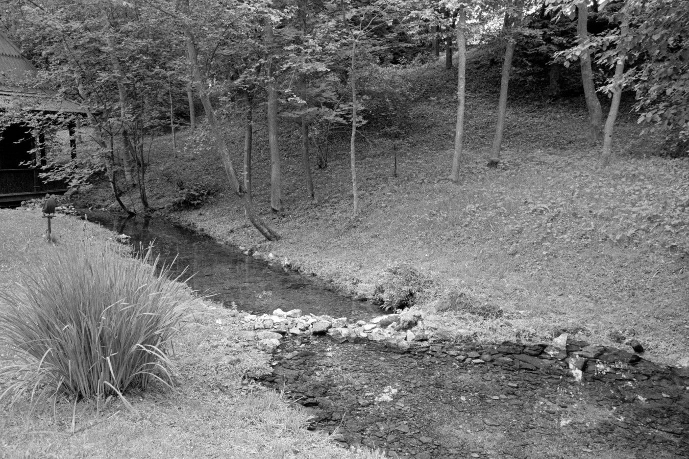NIKON_F80_AGFAFOTO_APX_400_DD-X_1-4_11_min_30_sec_05_2018_11