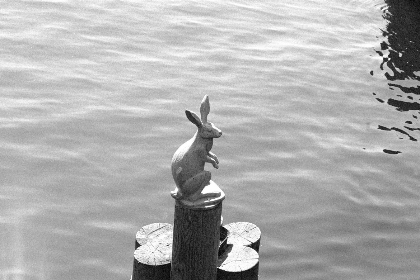 NIKON_F80_ILFORD_HP5_PLUS_at_800_RDN_LQ_1-25_8_min_15_sec_05_2018_28