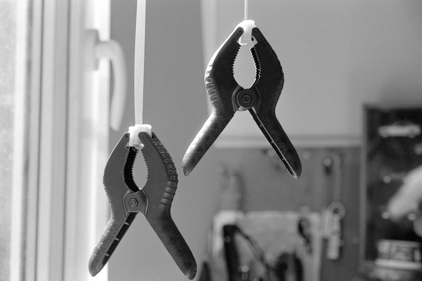 NIKON_F80_ILFORD_PAN_100_Ex_at_200_RDN-LQ_1-50_20_min_05_2018_5