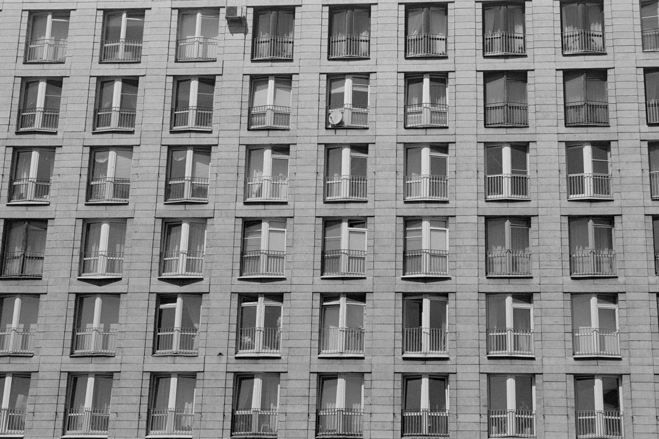 NIKON_F80_ILFORD_PAN_100_Ex_at_400_RDN-LQ_1-50_20_min_05_2018_12