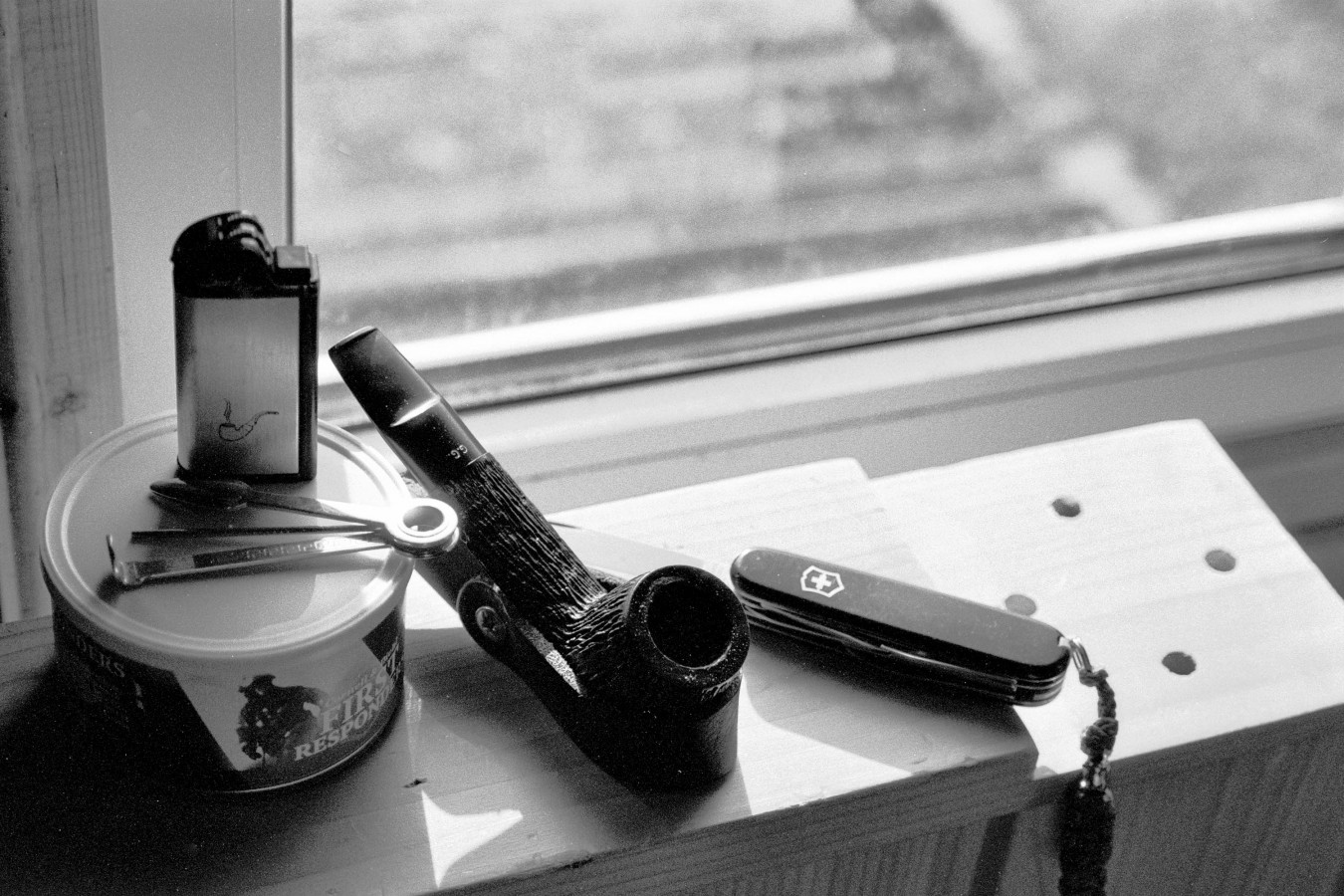 NIKON_F80_ILFORD_PAN_100_RDN-LQ_1-50_15_min_05_2018_25_