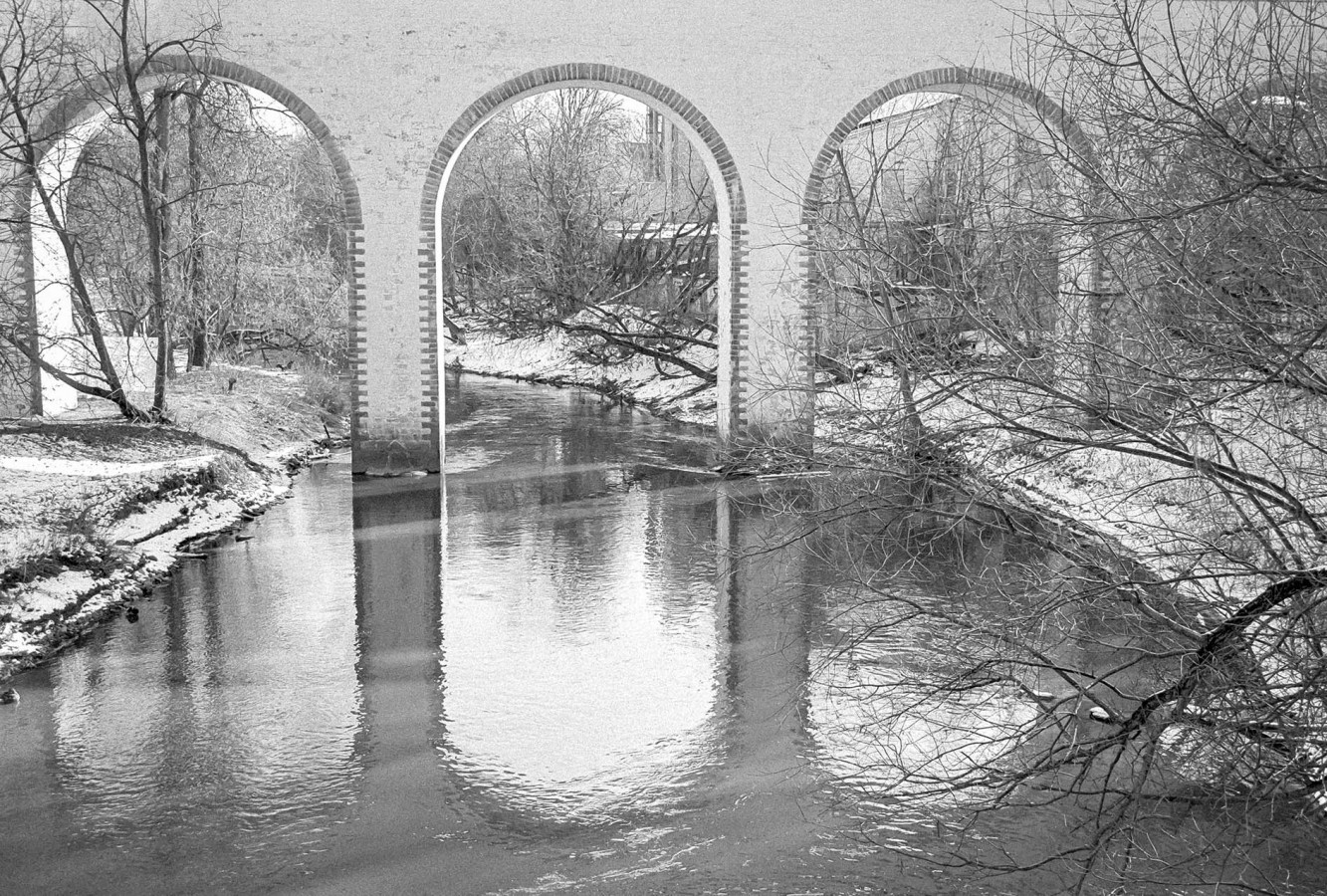 NIKON_F_80_ILFORD_PAN_100_at_200_RDN_1-50_20_min_20C_FEBRUARY_2025-0028