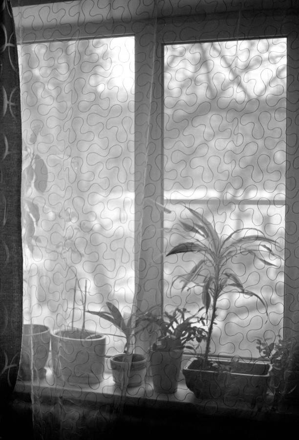 OLYMPUS_OM_2_ILFORD_FP4_at_125_D76_1X1_11_min_february_2021_08