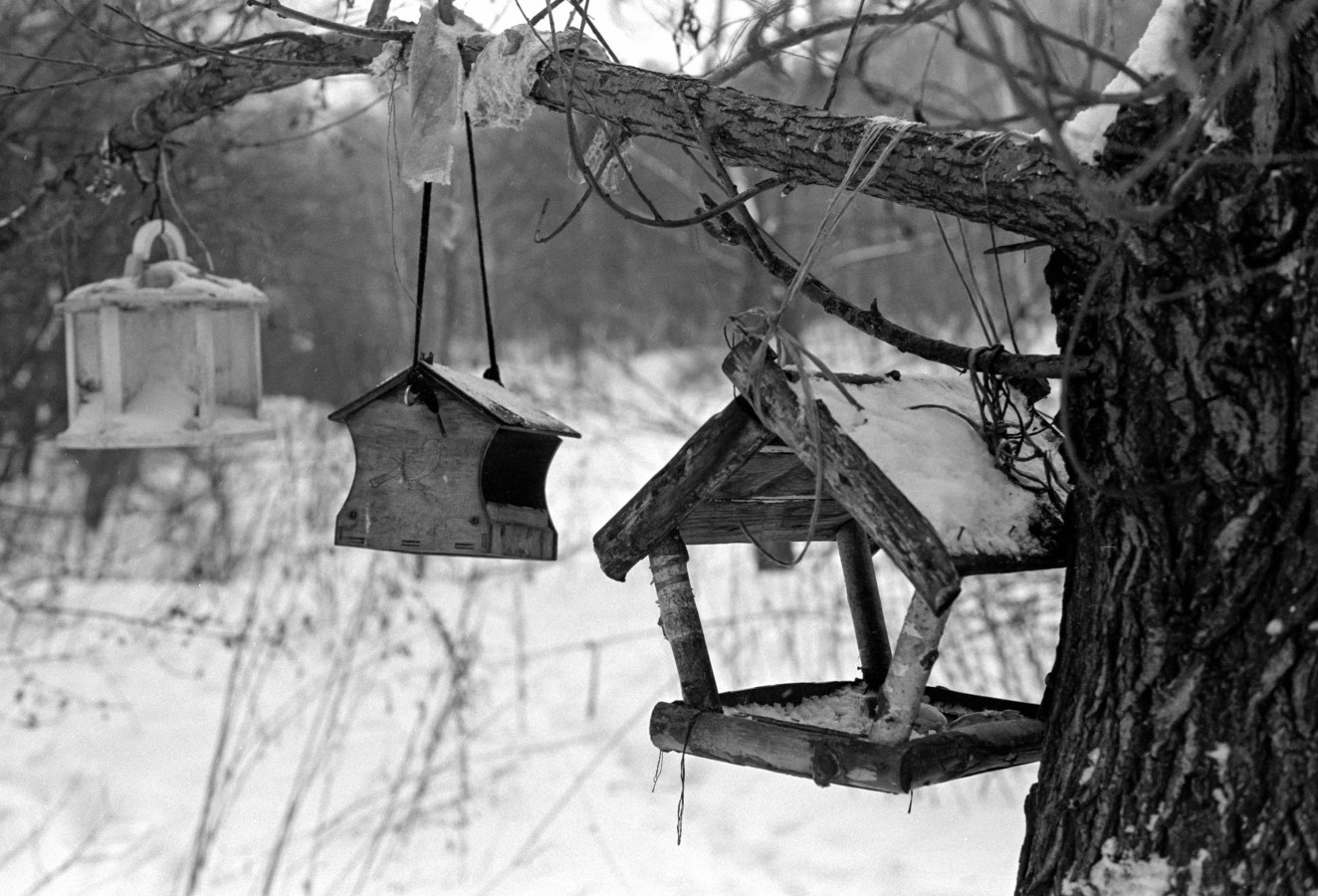 OLYMPUS_OM_2_ILFORD_FP4_at_125_D76_1X1_11_min_february_2021_15