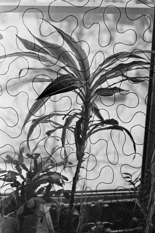 OLYMPUS_OM_2_KODAK_Tmax_400_D_76_1X3_15_min_januaru_2021_301