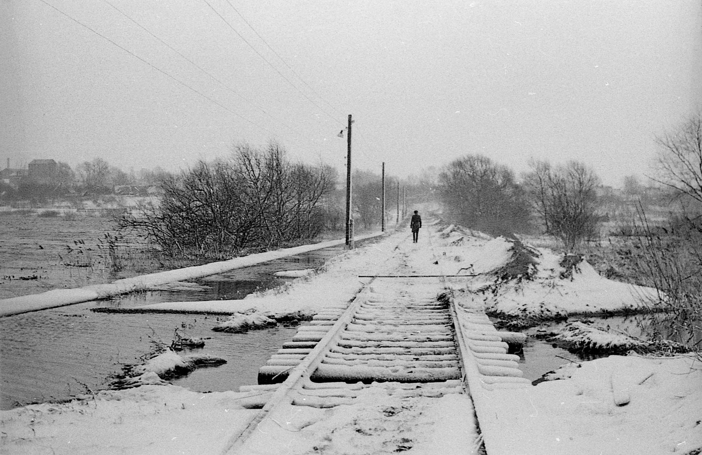 256_1982_9_