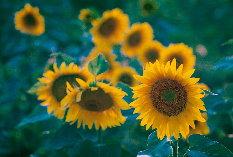 0077