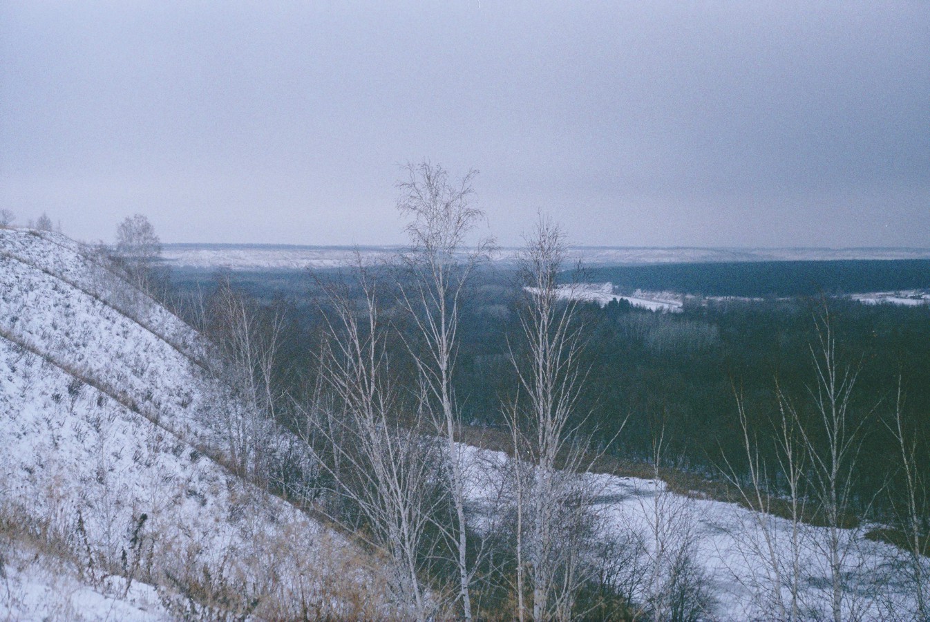 0r001-001_17_